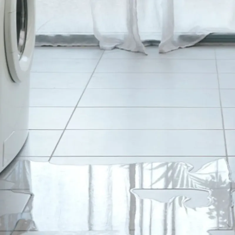 Appliance Leak Cleanup in Ecorse, MI