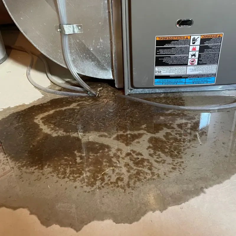 Pipe Burst and Leak Restoration in Ecorse, MI
