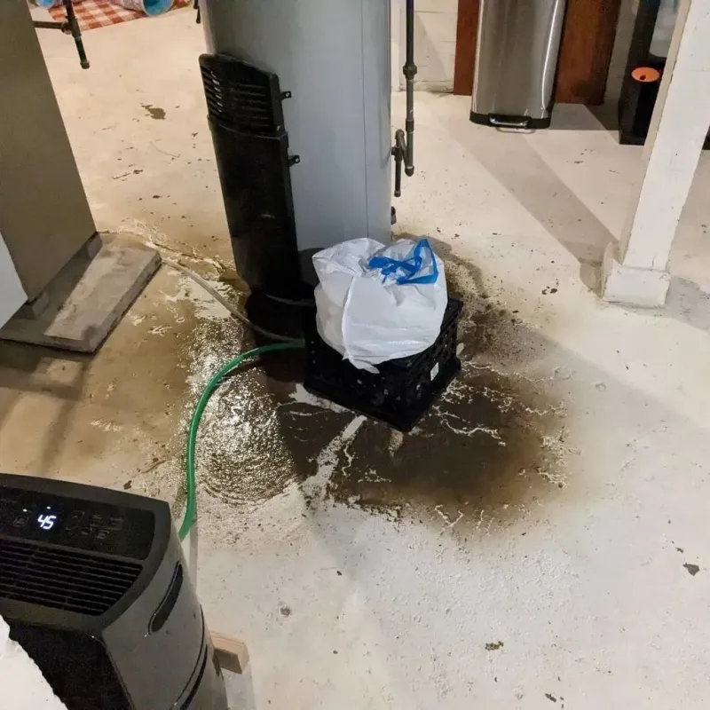 Sewage Backup Cleanup Service in Ecorse, MI